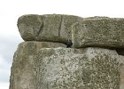 Stonehenge : #Anlässe, #Aufnahmeorte, #Kategorien, Cornwall 2006, Europa, Großbritannien, Lark Hill, URL, Urlaube, Wiltshire
