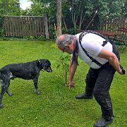 Kaffeepause mit Hund und Hochzeit in Feistritz am Wechsel : !Moped-Touren, 2017.4-Laender, 2017.4-Länder, Europa, Europe, Feistritz am Wechsel, Moped-Touren, Niederösterreich, Österreich