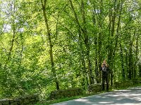 Morgenstop an der N638 : 2018.Ardennen, Belgien, Europa, Europe, MRD